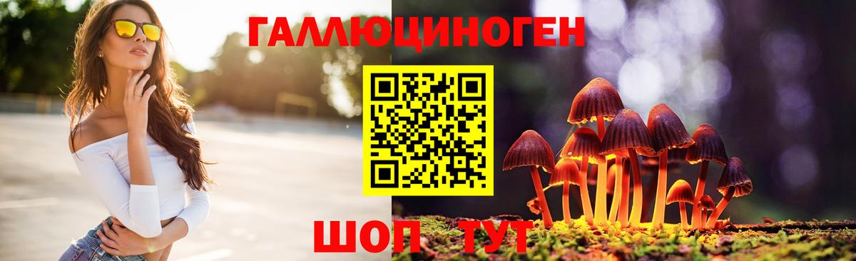 купить наркотики цена  Псилоцибиновые грибы GOLDEN TEACHER  Протвино  Вход с VPN  Псилоцибиновые грибы Cubensis 